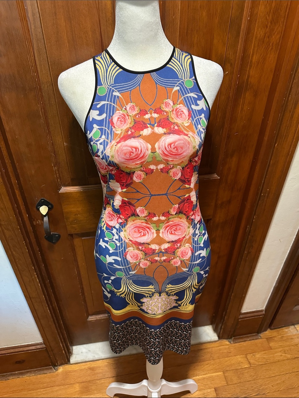 NWOT Dream Daily by Anthropologie Rose Bodycon Dress - Size M